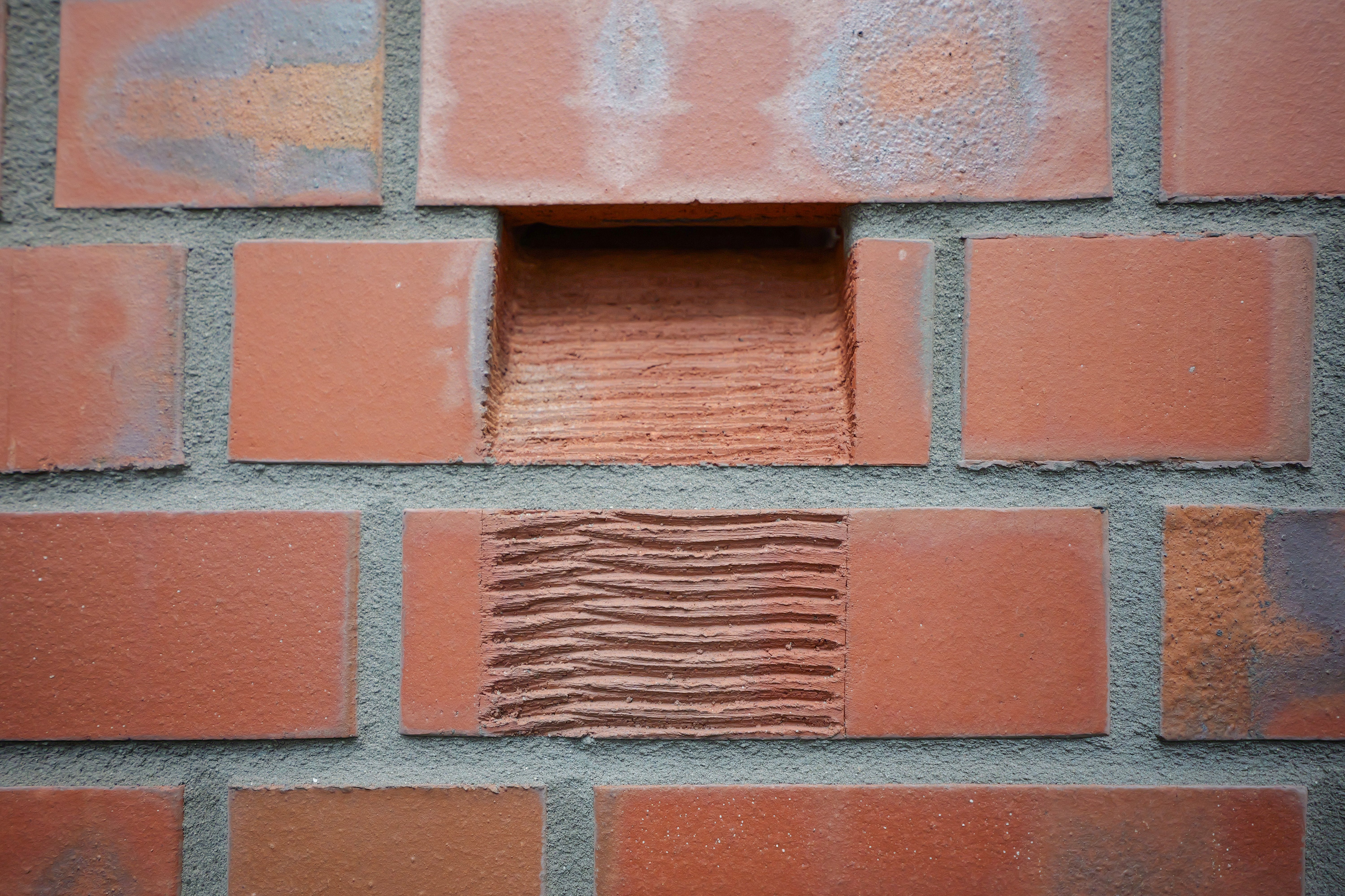 Fledermaus_Nistklinker_Eingang