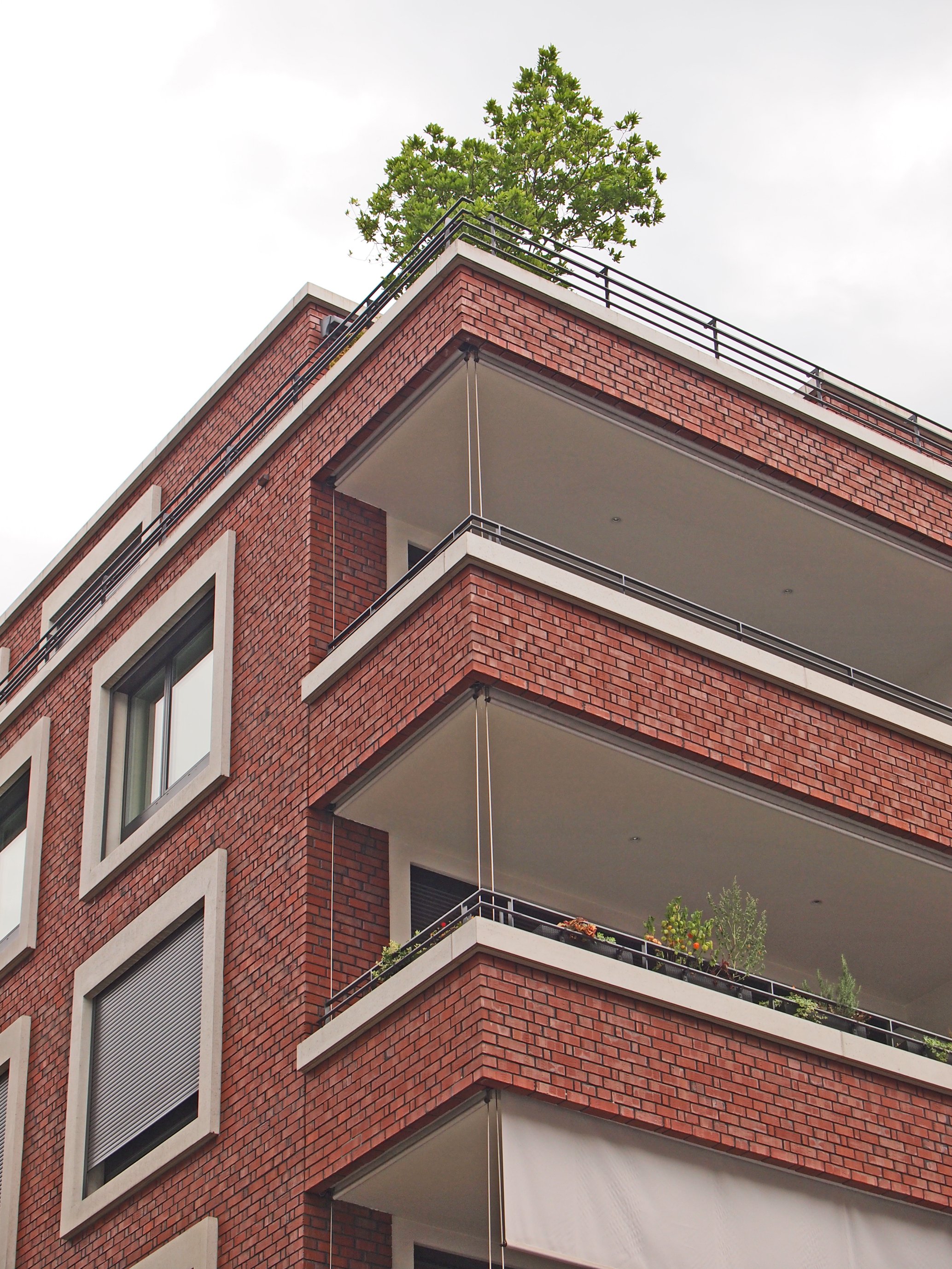 Zürich  - Wildbachgut 24